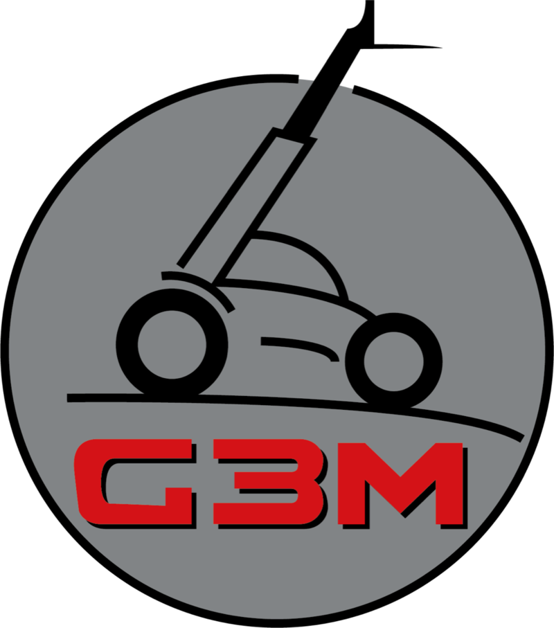 G3M